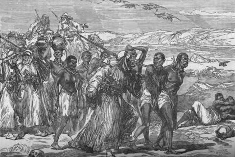 'Slave Gang Crossing The African Desert', c1881-85. Artist: Unknown.