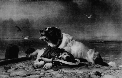 'Saved!', c1856, (1911). Artist: Edwin Henry Landseer.