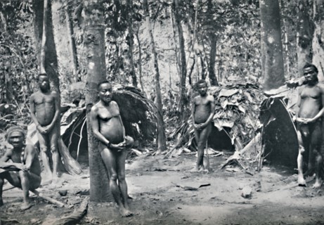 A Pygmy village, North-East Congo Basin, 1912. Artist: Unknown.