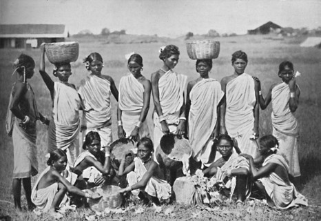 A group of Kol girls, 1902. Artist: Bourne & Shepherd.