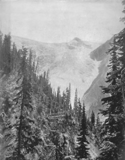 'The Illicilliwaet Glacier', 19th century. Artist: Unknown.