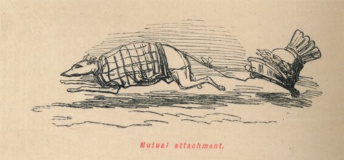 'Mutual attachment', 1852. Artist: John Leech.