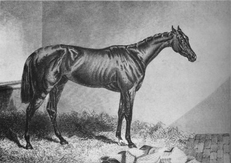'Mendicant', 19th century, (1911). Artist: Unknown.