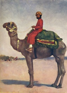 'A Camel Rider from Kota', 1903. Artist: Mortimer L Menpes.