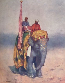 'An Elephant from the Sandy Wastes of Rajputana', 1903. Artist: Mortimer L Menpes.