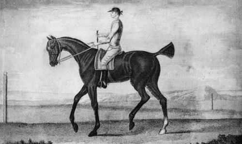 'Little Driver', c1850-1900, (1911). Artist: Unknown.