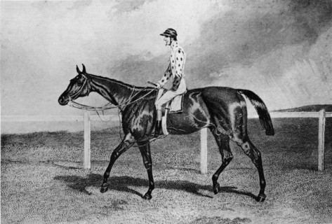 'Fandango', 19th century, (1911). Artist: Unknown.