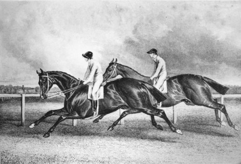 'Launcelot and Maroon', c1840s, (1911). Artist: Unknown.