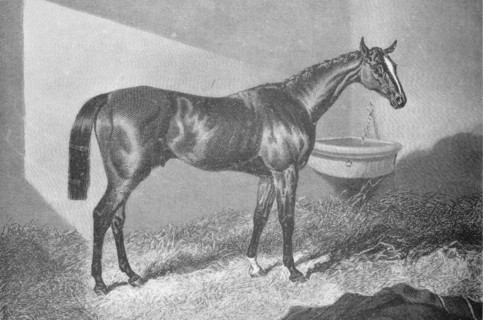 'Sir Tatton Sykes', 1842-1860, (1911). Artist: Unknown.