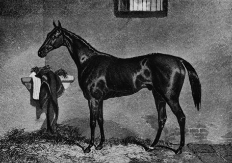 'Voltigeur', 1847-1874, (1911). Artist: Unknown.