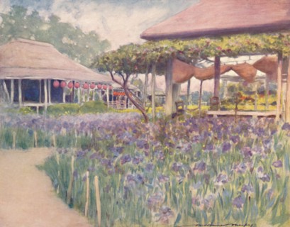 'An Iris Garden', 1903. Artist: Mortimer L Menpes.