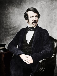 David Livingstone, Scottish missionary and explorer, 19th century. Artist: Unknown.