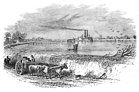 'The Levee', 1883. Artist: Unknown.