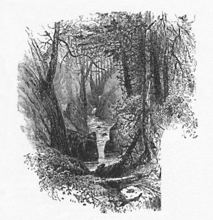 'A Feeder to the Lake', 1883. Artist: Unknown.