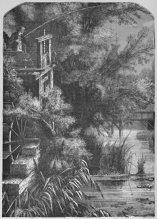 'Scene on a Creek Emptying Into The Little Juniata', 1883. Artist: Unknown.