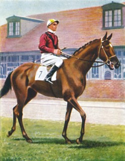 Senor, Jockey: J. Crouch', 1939. Artist: Unknown.