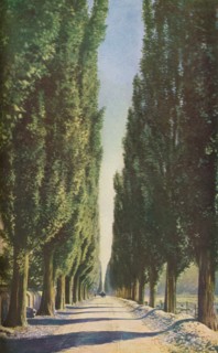 'France', c1930s. Artist: Unknown.