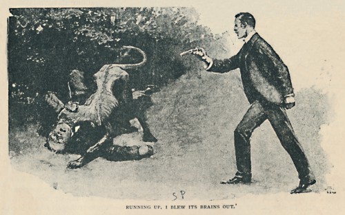 'Running Up. I Blew Its Brains Out', 1892. Artist: Sidney E Paget.