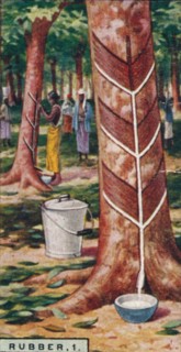 'Rubber, 1. Tapping the Trees, Ceylon', 1928. Artist: Unknown.