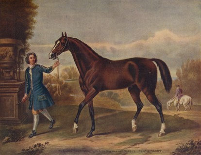 'The Darley Arabian', c1720, (1922). Artist: Unknown.