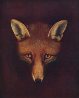 'Renard the Fox', c1800, (1922). Artist: Philip Reinagle.