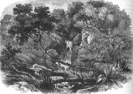 'New Zealand Landscape', c1880. Artist: Unknown.