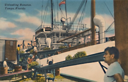 'Unloading Bananas, Tampa, Florida', c1940s. Artist: Unknown.