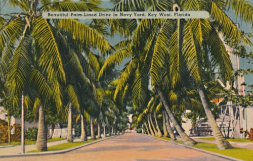 'Beautiful Palm-Lined Drive in Navy Yard, Key West, Florida', c1940s. Artist: Unknown.