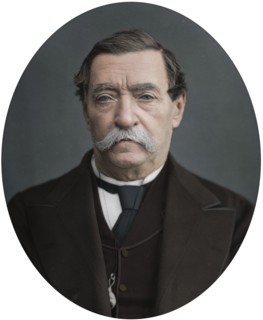 Lord Napier of Magdala, 1878. Artist: Lock & Whitfield.