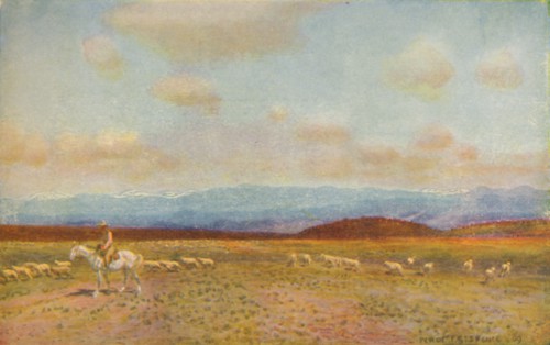 'Scene in the Australian Middle Lowlands', 1924. Artist: Unknown.