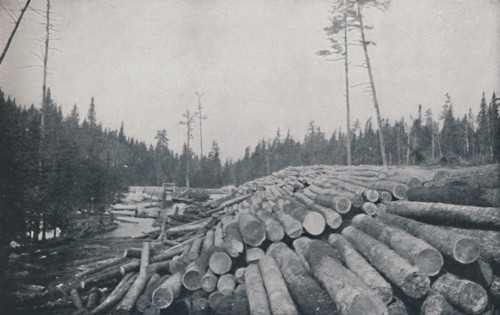 'Lumbering', 1924. Artist: Unknown.