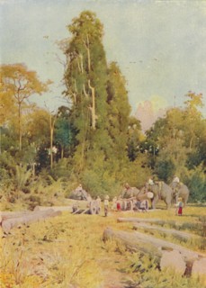 'Elephants Piling Teak', 1924. Artist: Unknown.