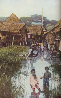 'Philippine Islands', early 19th century, (c1930s). Artist: Richard Thomas Underwood.