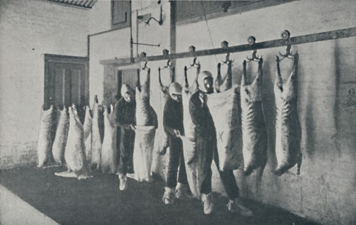 'Frozen Meat', 1910. Artist: Unknown.