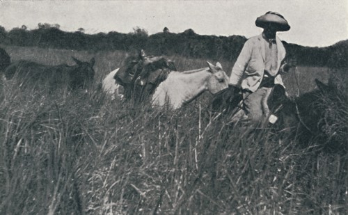 'Travel on the Pampas', 1916. Artist: Unknown.