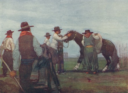'Gauchos Breaking in a Young Horse', 1916. Artist: A S Forrest.