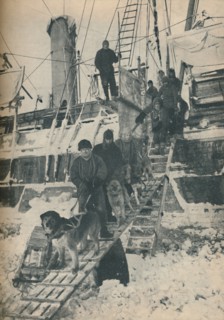 'Exercising the Dogs', 1936. Artist: Unknown.