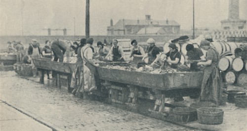 'An Important Part of the Industry. Scottish girls busy gutting at Yarmouth', 1937. Artist: Unknown.