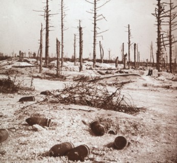 Shells, Verdun, northern France, c1914-c1918. Artist: Unknown.