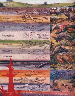 'The Succession of Life in the Rocks', 1935 . Artist: Unknown.