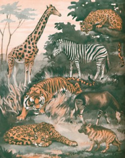'Animals Helped By Spots and Stripes', 1935 . Artist: Unknown.