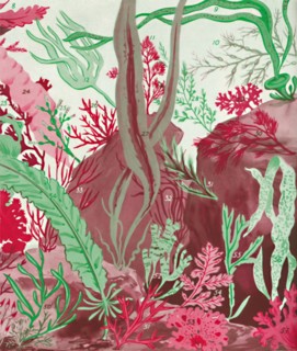 'A Collection of Over Fifty Species of Red, Green and Brown Seaweeds', 1935. Artist: Unknown.