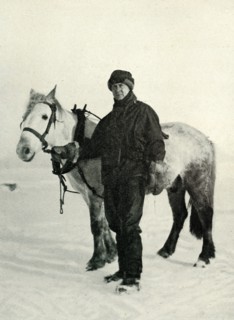 'Dr. Wilson and Pony 'Nobby', c1911, (1913). Artist: Herbert Ponting.