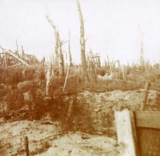 Blasted wood, Nieuwpoort, Flanders, Belgium, c1914-c1918. Artist: Unknown.