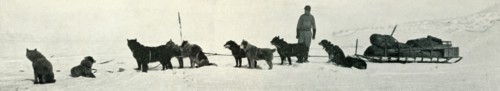'Dogs with Stores About to Leave Hut Point', c1911, (1913). Artist: Herbert Ponting.