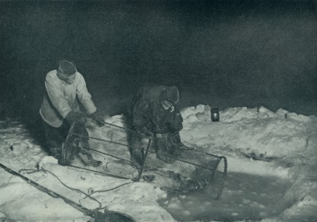 'Dr. Atkinson and Clissold Hauling Up The Fish-Trap', 28 May 1911, (1913). Artist: Herbert Ponting.