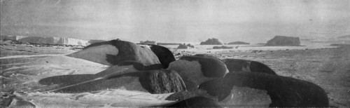 'Granite Blocks Planed by Ancient Glaciers at Cape Roberts', c1911, (1913).  Artist: T Griffith Taylor.
