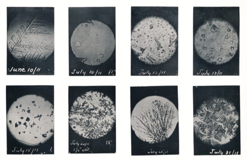 'Ice Crystals in Crevasse', June-July 1911, (1913). Artist: Charles S Wright.
