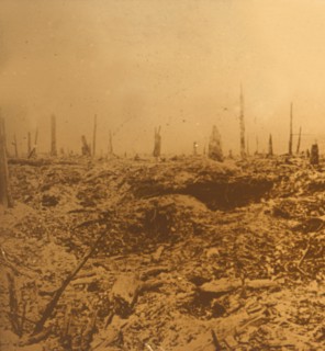 Bois du Chapitre, Vaux, northern France, c1914-c1918. Artist: Unknown.