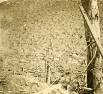 Ravine at Les Éparges, northern France, c1914-c1918.  Artist: Unknown.